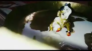laddugpal ka radha rani singher