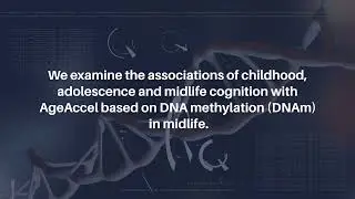 Cognitive Function and DNA Methylation Age Acceleration Across Life Stages | Aging-US