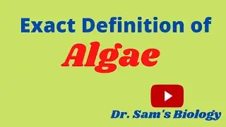 Definition of Algae