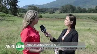 2,4-D é uma das principais ferramentas do produtor rural