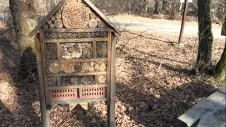 Ribniki pri Račah - 1. 2. 2016