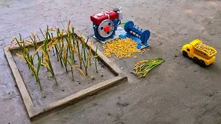 Mini Rice Thresher Mini Farming Science Project