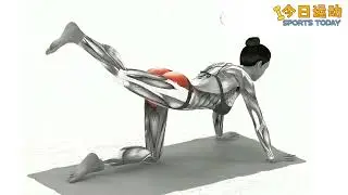 🔥 居家蜜桃臀養成計畫！4個超有感動作 (3D肌肉解剖圖解) 🍑 🍑 Build Your Glutes at Home! (No Equipment Needed)