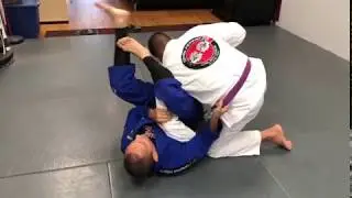 Arm Bar transition to Omoplata ending on Triangle Choke