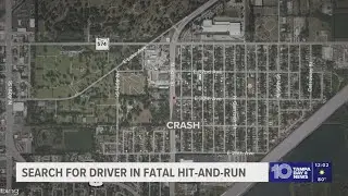 Tampa police investigating hit-and-run that left woman dead after being hit by 2 vehicles