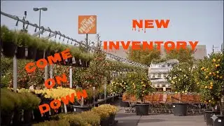 Home Depot has raised the bar on their plant for 2026, come in in!!