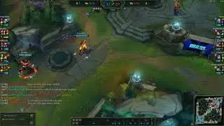 200 years of collective game design experience could not save this Irelia from being a retard