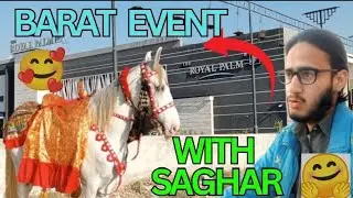 Long Ride Barat Event on Saghar horse || ROYAL PALM Marquee ||🖤🫴#horse #longride #yt#trend #pakistan