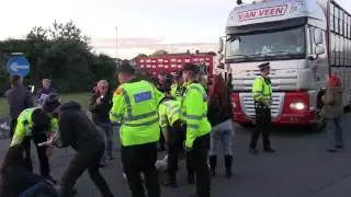 Ramsgate Live Animal Exports 29 September