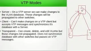 Understanding VTP