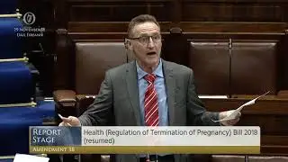 Deputy Peter Fitzpatrick - Government Business - 29.11.2018