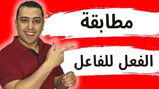 الجملة الفعلية ومطابقة الفعل للفاعل  - ذاكرلي عربي