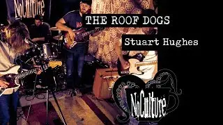 The Roof Dogs - Stuart Hughes | Live @ No Culture