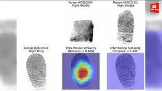 Are fingerprints unique  Not really, AI based study finds