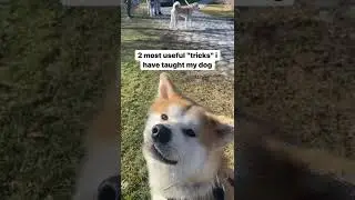 2 most useful 