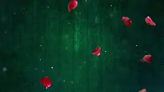 Cinematic Background | Wedding Background | Green Wedding  Background