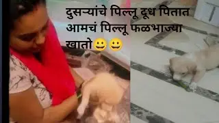 दुसऱ्यांचे पिल्लू दूध पितात आमचं पिल्लू फळभाज्या खातो 😀😀