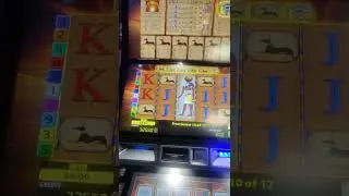 Eye of Horus Jackpot!! Max stake! UK bookies