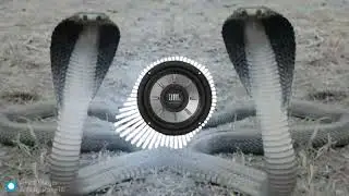 Nagin Dance Music Dj Mix JBL Bass Remix - Nag Panchami Dj Song - Dj Remix Nagpanchmi Song -Jbl mix