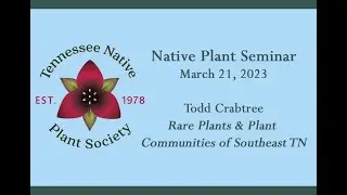 Seminar 3/21/2023 Crabtree