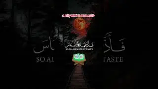 A city which was safe #Allah ##MuhammadPBUH #islamakhachev #Quran #shorts #youtube #viralvideo