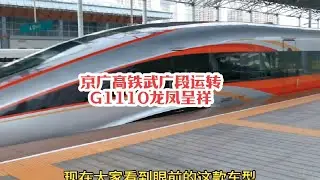 #火车迷爱好者 郴州西站实拍京广高铁武广段运转，G1110复兴号智能动车组广铁集团担当#火车视频 #高铁🚅 #随拍 #复兴号