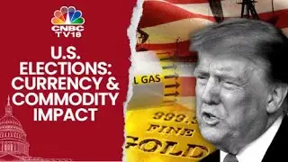 US 2024 Election Impact: Commodities Under Pressure On Trump Victory | CNBC TV18