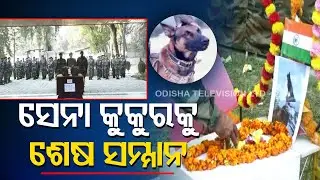 Indian Army pays homage to elite assault dog 'Zoom'