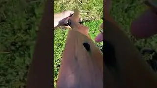 AC80 GUN IN Real life #shorts #freefire