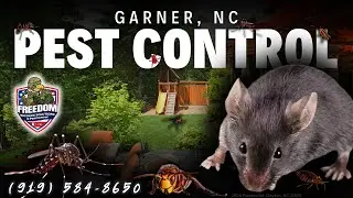 Garner, NC Pest Control Service (919) 584-8650 - Freedom Wildlife Solutions & Pest Control