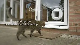 Microchip Kattenluik