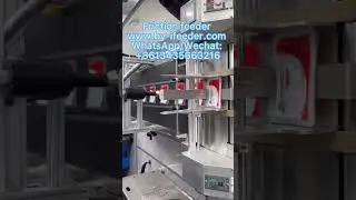 Friction feeder with double detection