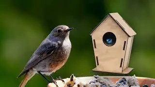 PromotionTops ECO HOME