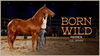 Patrick | Todd Pierce and Riding High Ministries | Full Service