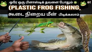 No Live Frog Needed! The Art of Fishing with Plastic Frog Lures #fishingvideo 