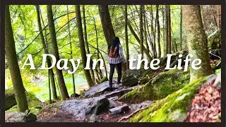 A Day In the Life of Mindful Productivity