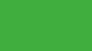 Green screen background - 1 hour, uninterrupted with no ads on screen or popping up in the middle