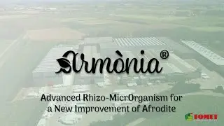 Armònia 🇮🇹