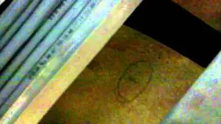 MOV00407