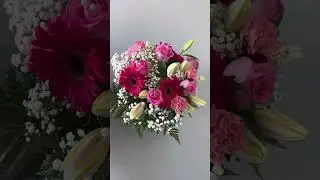 This or That Flowers - Sunflowers or Happiness? | Bloomen Canada #shortsvideo #flowers #toronto