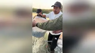 #新农人计划 #抓虾 #渔民生活实拍 #农村生活记录 今天来帮忙抓虾