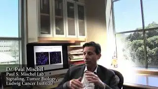 Independent Validation: How Defeat GBM is changing the map of brain cancer
