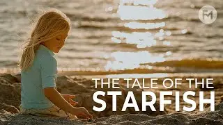 The Tale of the Starfish: Small Acts, Big Impact