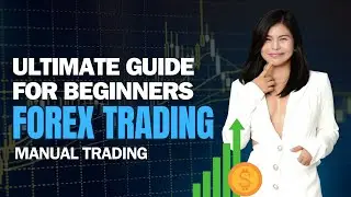 FOREX WEBINAR | THE ULTIMATE TRADING CLASS FOR BEGINNERS  MODULE 2