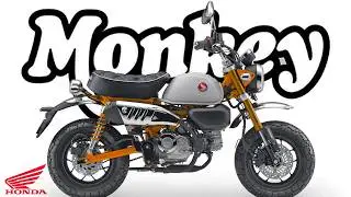 HONDA MONKEY 125  -  colors  | 2026 |