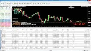 363% Profit in 5 Months! | Forex Never Losing EA - Myfxbook Verified Results