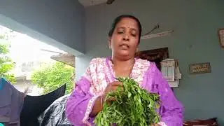 అద్భుతమైన నేలవేము మొక్క#scientific name#plants#medical plant#flowers#roots#greenleaves#funny#garden