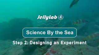 Science By The Sea: Designing an Experiment