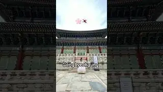 🇰🇷 Silent Travel Diary 🌸 | Misaki Diaries #facelessvlog #silentvlog #asmr #aestheticvlog #southkorea