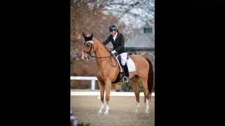 United States National Dressage Championships 2021